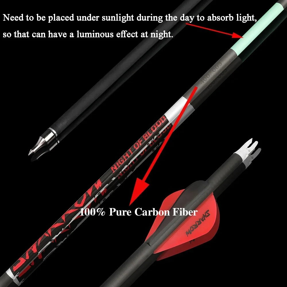 Pure Carbon Archery Arrows High Precision For Hunting Sports
