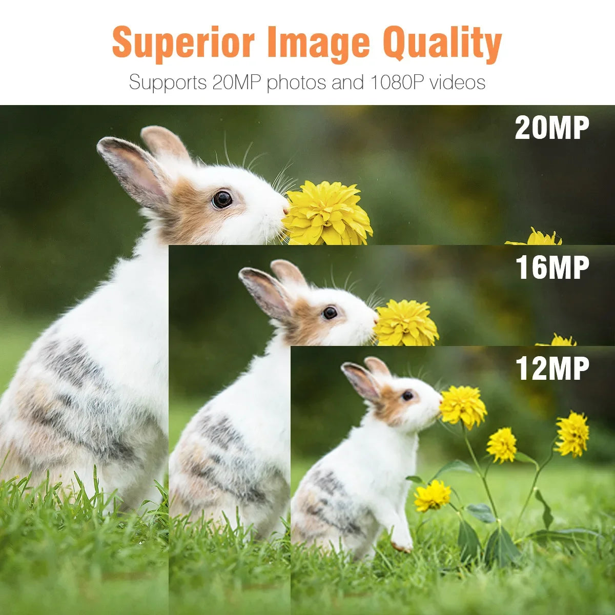 Mini301 Trail Hunting Camera 24MP 1080P Night Vision IP65 Waterproof