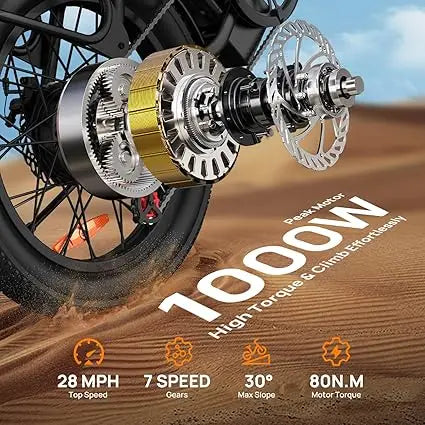 URLIFE E20 1000W Electric Bike Featuring 48V Removable Battery Pack