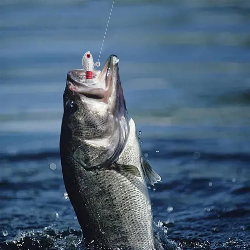 Premium Bucktail Jig Heads For Saltwater Freshwater Fishing Lures