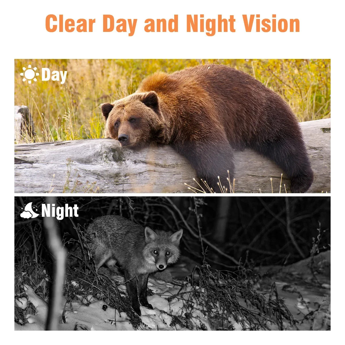 Mini301 Trail Hunting Camera 24MP 1080P Night Vision IP65 Waterproof