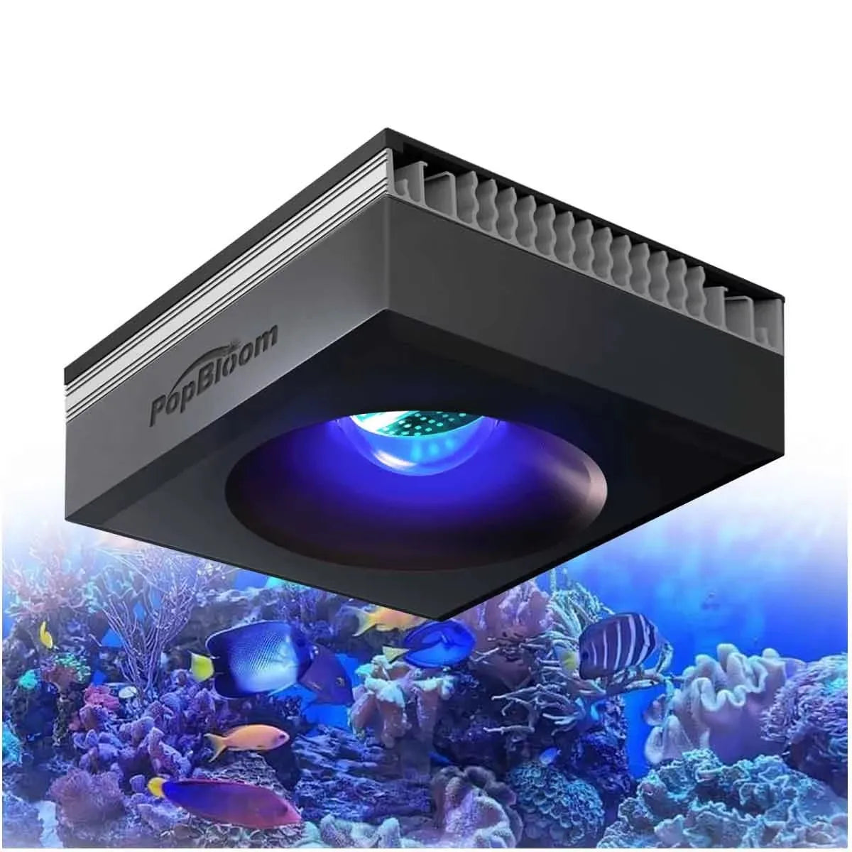 PopBloom Full Spectrum Reef Aquarium WiFi LED Light Panel
